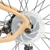 Baluue Bike Spoke Protector Transparent Plastic-4