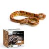 Coconut Substrate for Reptiles REPTI ZOO 72 Quart Natural Bedding-7