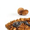 Coconut Substrate for Reptiles REPTI ZOO 72 Quart Natural Bedding-1
