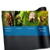 Bearded Dragon Tank Accessories Duedusto Terrarium Mat Waterproof-4