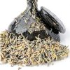 Eco Culture Live Springtails 8 oz Charcoal Substrate for Terrariums-5