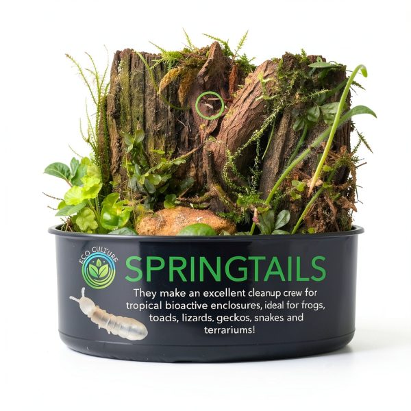 Eco Culture Live Springtails 8 oz Charcoal Substrate for Terrariums-2