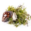 Natural Moss for Pet Snails, Perfect Pet Snail Supplies for Maintain The Humidity Levels in The Enclosure-2