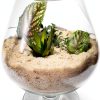 Natural Decorative Real Sand 2lb by MAYNET Terrarium Sand Non Toxic-1