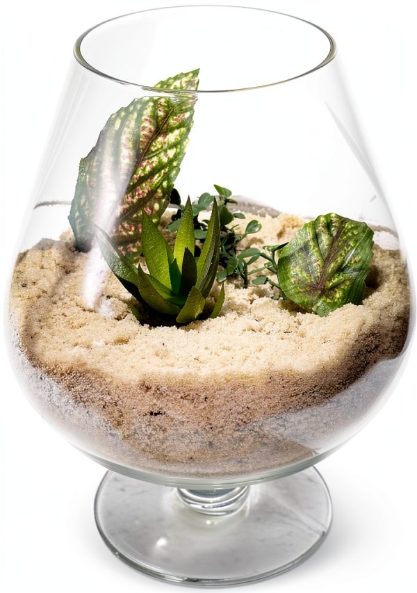 Natural Decorative Real Sand 2lb by MAYNET Terrarium Sand Non Toxic-1