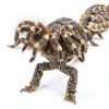 Haull 4 Pcs Reptile Carpet Pet Terrarium Floor Liners Bedding Substrate Liner Supplies Reptile Cage Mat Tank Accessories for Lizard Bearded Dragon Tortoise Snake Leopard (47 x 24 Inch, Coffee)-4