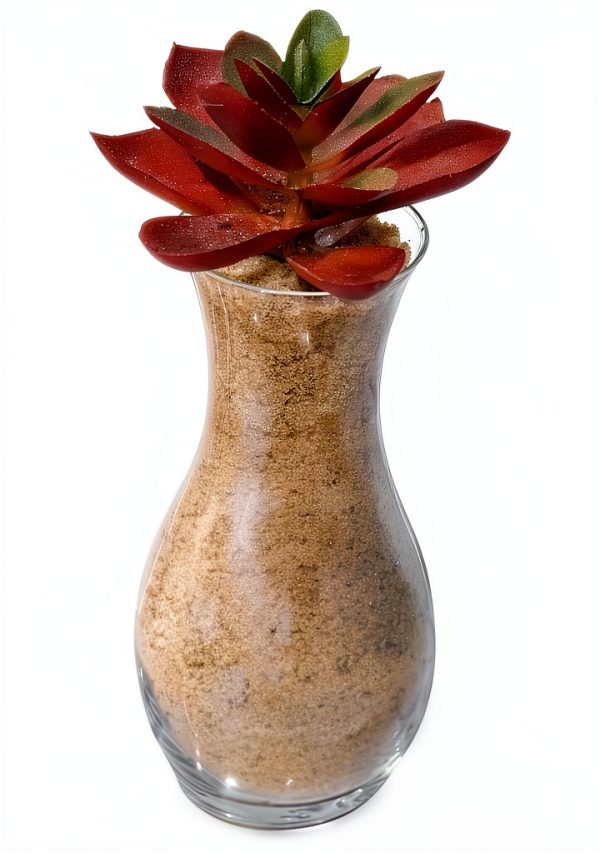 Natural Decorative Real Sand 2lb by MAYNET Terrarium Sand Non Toxic-5