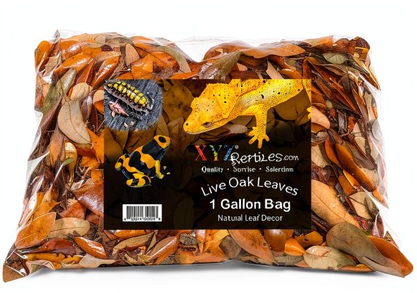 XYZReptiles Premium Live Oak Leaf Litter Isopod Substrate Terrarium Bedding (1 Gallon)-1