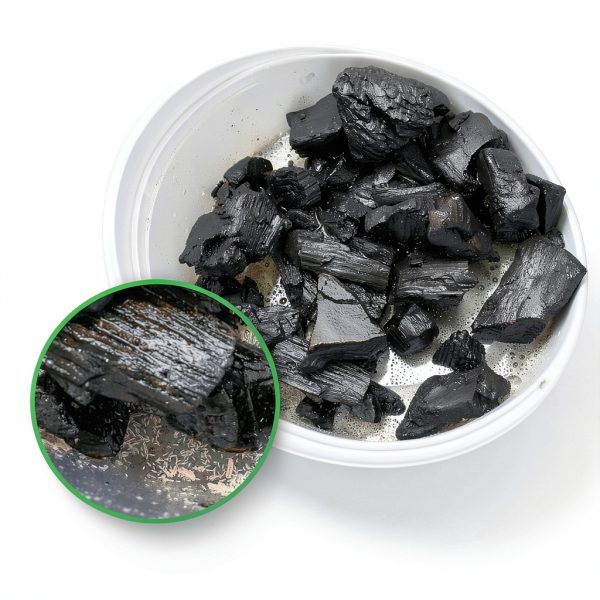 Eco Culture Live Springtails 8 oz Charcoal Substrate for Terrariums-1