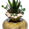 Natural Decorative Real Sand 2lb by MAYNET Terrarium Sand Non Toxic-3