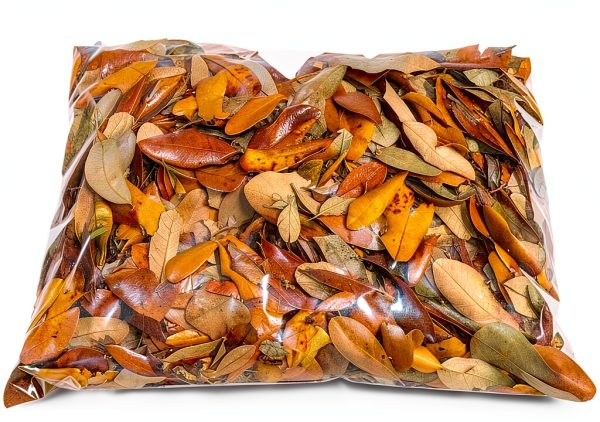 XYZReptiles Premium Live Oak Leaf Litter Isopod Substrate Terrarium Bedding (1 Gallon)-2