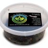 Eco Culture Live Springtails 8 oz Charcoal Substrate for Terrariums-0
