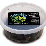 Eco Culture Live Springtails 8 oz Charcoal Substrate for Terrariums-0