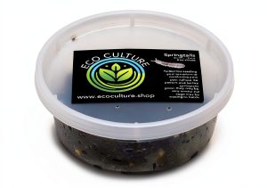 Eco Culture Live Springtails 8 oz Charcoal Substrate for Terrariums-0