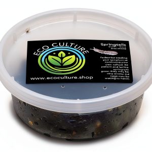 Eco Culture Live Springtails 8 oz Charcoal Substrate for Terrariums-0
