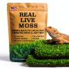 Live Moss for Reptiles - Terrarium Moss for Reptiles Peat Moss for Reptiles Habitat Bedding Moss for Snakes Turtle Frog Gecko and Other Reptiles Substrate 50 Square inches Live Moss-0