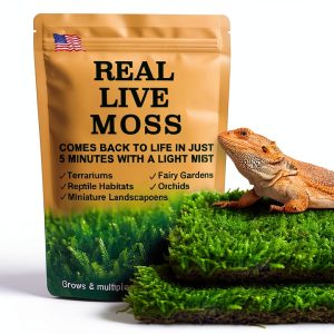 Live Moss for Reptiles - Terrarium Moss for Reptiles Peat Moss for Reptiles Habitat Bedding Moss for Snakes Turtle Frog Gecko and Other Reptiles Substrate 50 Square inches Live Moss-0