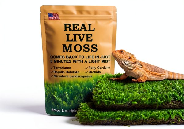 Live Moss for Reptiles - Terrarium Moss for Reptiles Peat Moss for Reptiles Habitat Bedding Moss for Snakes Turtle Frog Gecko and Other Reptiles Substrate 50 Square inches Live Moss-0