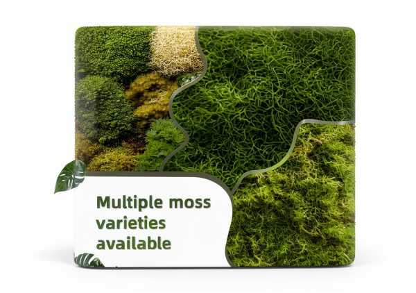 Live Moss for Reptiles - Terrarium Moss for Reptiles Peat Moss for Reptiles Habitat Bedding Moss for Snakes Turtle Frog Gecko and Other Reptiles Substrate 50 Square inches Live Moss-6